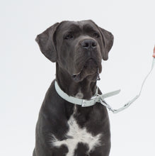 Cargar imagen en el visor de la galería, Collar Blum Celeste