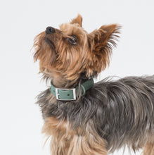Cargar imagen en el visor de la galería, Collar Blum Verde