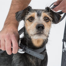 Cargar imagen en el visor de la galería, Collar Blum Grafito