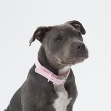 Cargar imagen en el visor de la galería, Collar Blum Rosado