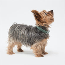 Cargar imagen en el visor de la galería, Collar Blum Verde