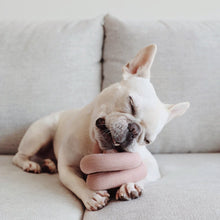 Cargar imagen en el visor de la galería, NOUNOU GRIS | crea tu propio juego para cachorros y gatos