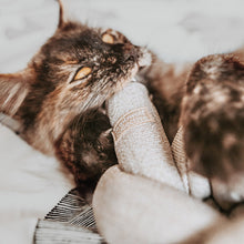 Cargar imagen en el visor de la galería, NOUNOU GRIS | crea tu propio juego para cachorros y gatos